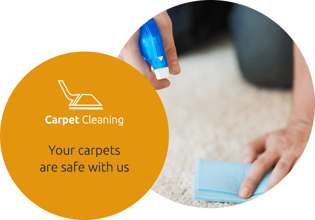 Carpet Cleaning